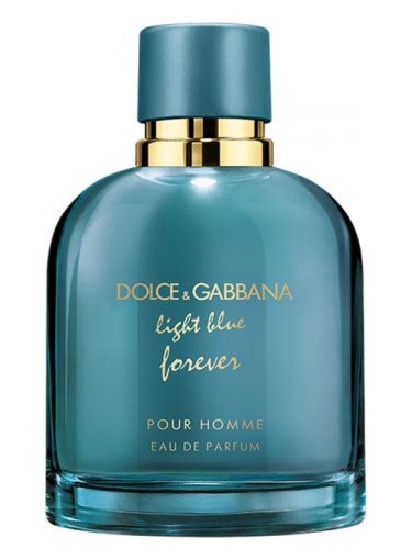 dolce gabbana light blue notes men|light blue forever for men.